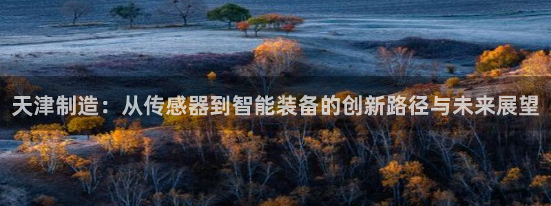 恒行2卫74OOO5：天津制造：从传感器到智能装备的创新路径