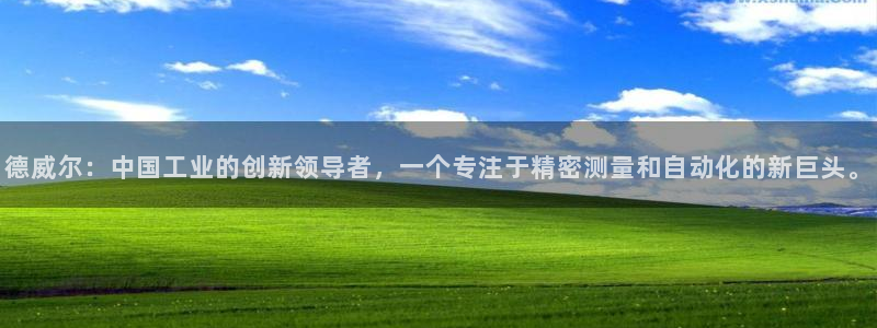 恒行注册全2O5O5O：德威尔：中国工业的创新领导者，一个专