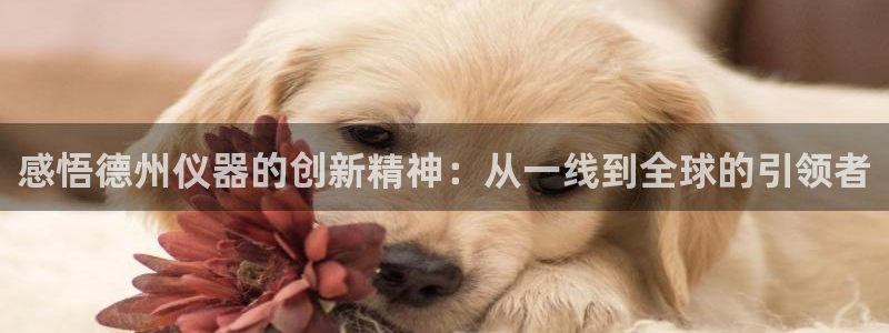 恒行5：感悟德州仪器的创新精神：从一线到全球的引领者