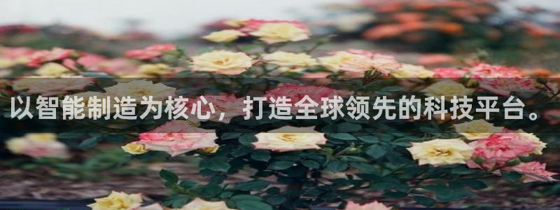 恒行娱乐河沂74ooo5程