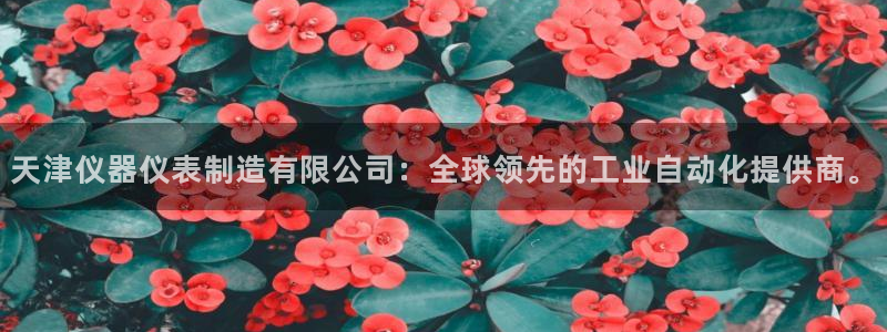恒行开户全2O5o5O：天津仪器仪表制造有限公司：全球领先的