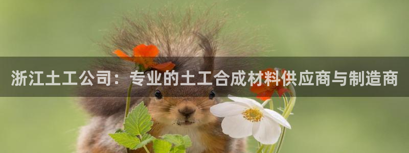 恒行登录老大6ll5l典型：浙江土工公司：专业的土工合成材料