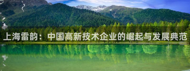 恒行2陈74OOO5：上海雷韵：中国高新技术企业的崛起与发展