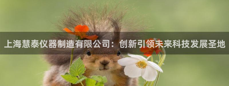 恒行开户娱乐6ll5l特惠：上海慧泰仪器制造有限公司：创新引