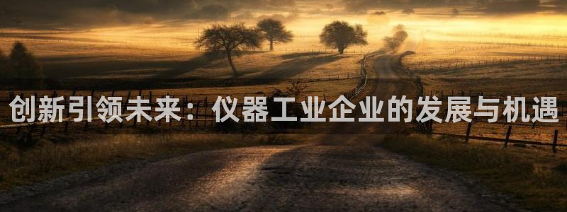 恒行2周74OOO5：创新引领未来：仪器工业企业的发展与机遇