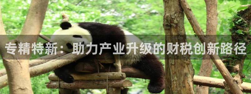 恒行娱乐招收点赞5ll533主管：专精特新：助力产业升级的财