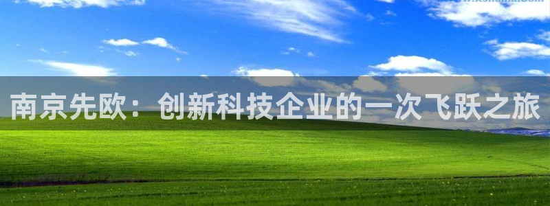 恒行2尤74OOO5：南京先欧：创新科技企业的一次飞跃之旅
