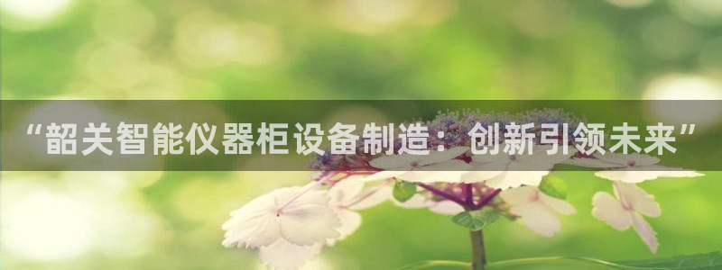 恒行2朱74OOO5：“韶关智能仪器柜设备制造：创新引领未来