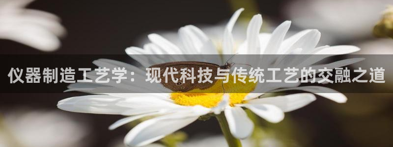 恒行登录老大6ll5l典型：仪器制造工艺学：现代科技与传统工