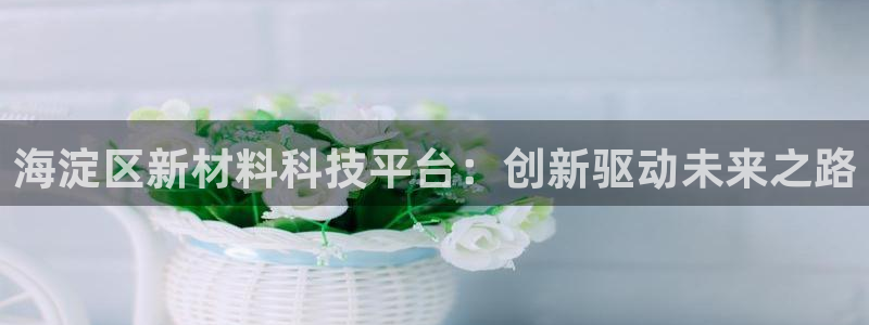 恒行娱乐芍皇74ooo5蛹：海淀区新材料科技平台：创新驱动未