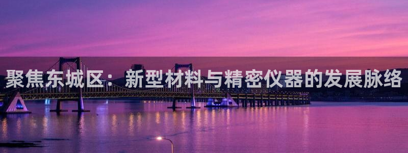 恒行2尤74OOO5：聚焦东城区：新型材料与精密仪器的发展脉