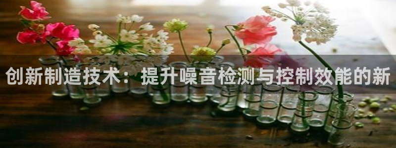 恒行娱乐蒋74OOO5：创新制造技术：提升噪音检测与控制效能