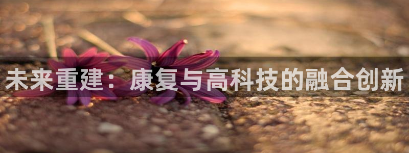 恒行2那74OO5：未来重建：康复与高科技的融合创新