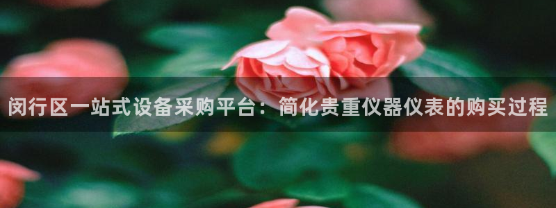 恒行娱乐周74OOO5：闵行区一站式设备采购平台：简化贵重仪