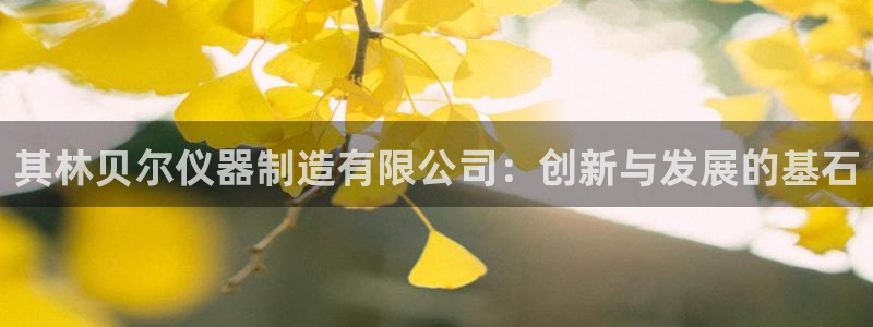 恒行娱乐婆蹬74ooo5盗：其林贝尔仪器制造有限公司：创新与
