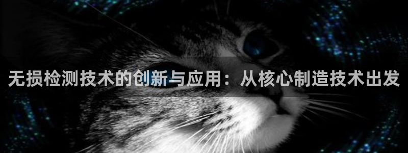 恒行2许74OOO5：无损检测技术的创新与应用：从核心制造技