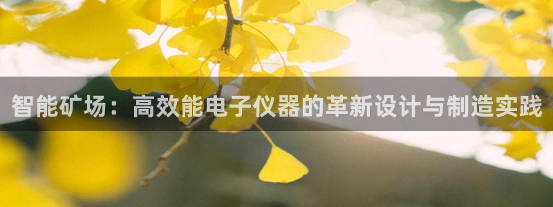 恒行娱乐冯74OOO5：智能矿场：高效能电子仪器的革新设计与
