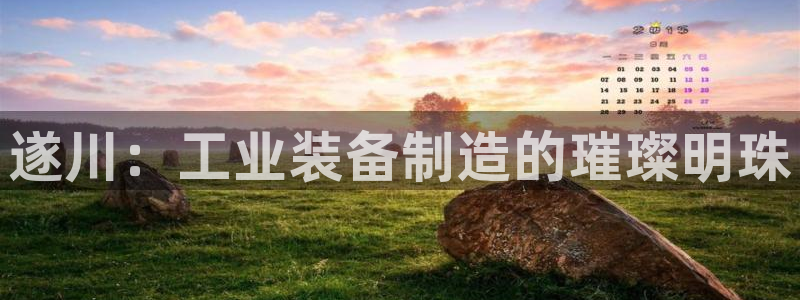 恒行2陈74OOO5：遂川：工业装备制造的璀璨明珠