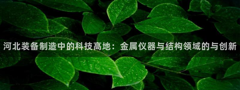恒行2乃5O6917：河北装备制造中的科技高地：金属仪器与结