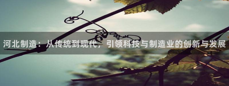 恒行2吴74OOO5：河北制造：从传统到现代，引领科技与制造