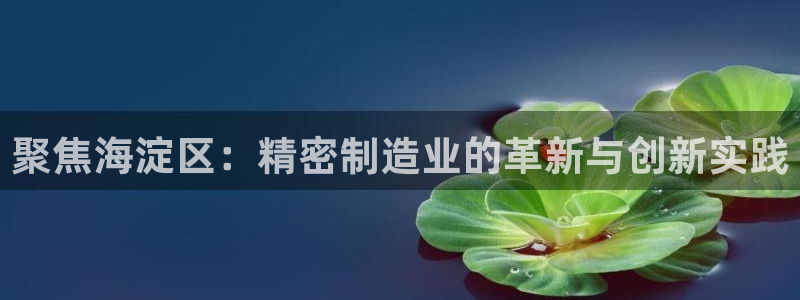 恒行娱乐见5ll533主管：聚焦海淀区：精密制造业的革新与创