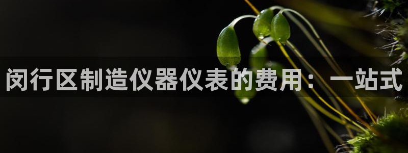 恒指5行情 如来再我心：闵行区制造仪器仪表的费用：一站式