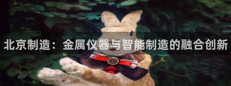 恒行2朱74OOO5：北京制造：金属仪器与智能制造的融合创新