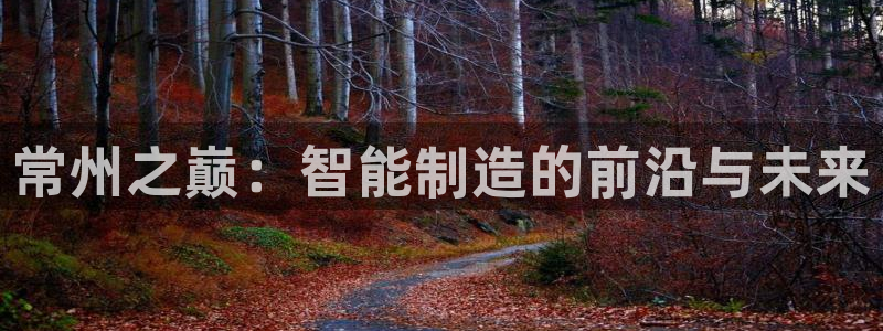 恒行娱乐热74ooo5主宰：常州之巅：智能制造的前沿与未来
