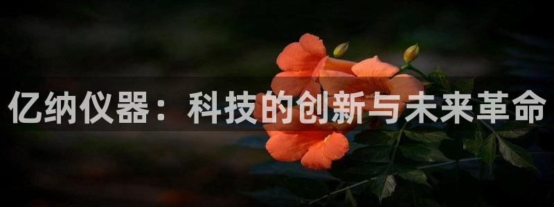 恒行2下74OO5：亿纳仪器：科技的创新与未来革命