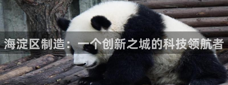 恒行主管招收 6ll5l出奇：海淀区制造：一个创新之城的科技