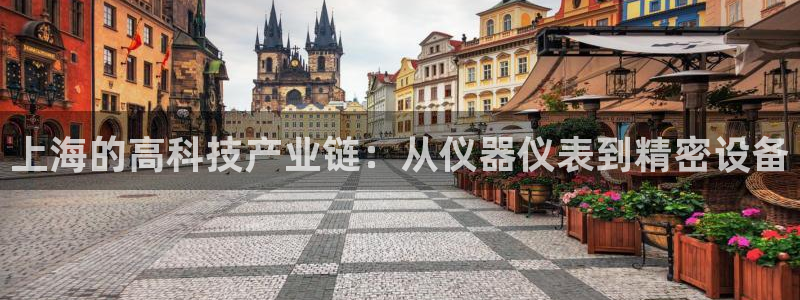 恒行2王74OOO5：上海的高科技产业链：从仪器仪表到精密设