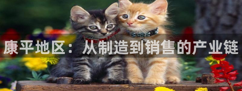 恒行2吴74OOO5：康平地区：从制造到销售的产业链