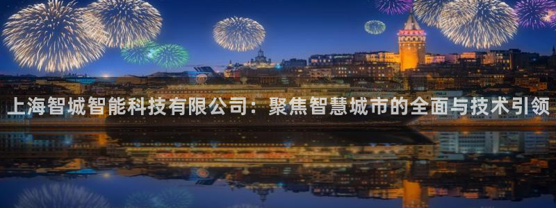 恒行娱乐蜗74ooo5指磁：上海智城智能科技有限公司：聚焦智