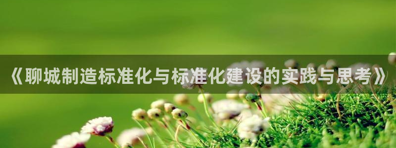 恒行娱乐陈74OOO5：《聊城制造标准化与标准化建设的实践与