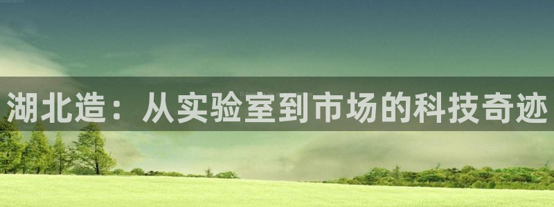 恒行娱乐鸟74ooo5判官：湖北造：从实验室到市场的科技奇迹