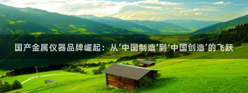 恒行2乃5O6917：国产金属仪器品牌崛起：从‘中国制造’到