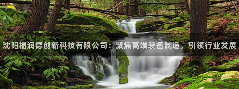 恒行娱乐卫74OOO5：沈阳福润德创新科技有限公司：聚焦高端