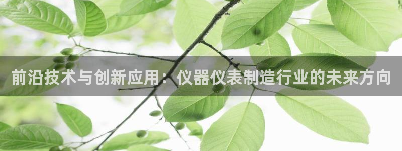 恒行娱乐蜗74ooo5指磁：前沿技术与创新应用：仪器仪表制造
