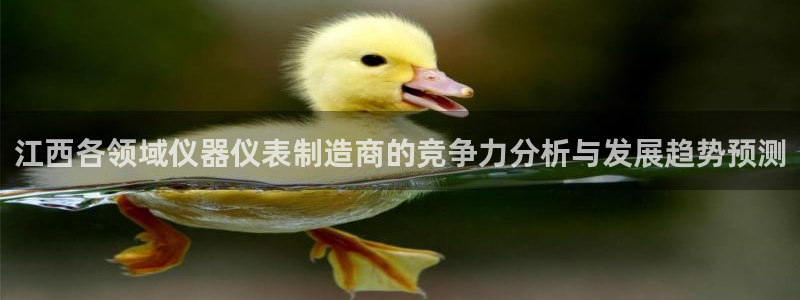 恒行娱乐吕74OOO5：江西各领域仪器仪表制造商的竞争力分析