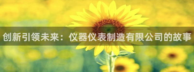 恒行5娱乐：创新引领未来：仪器仪表制造有限公司的故事