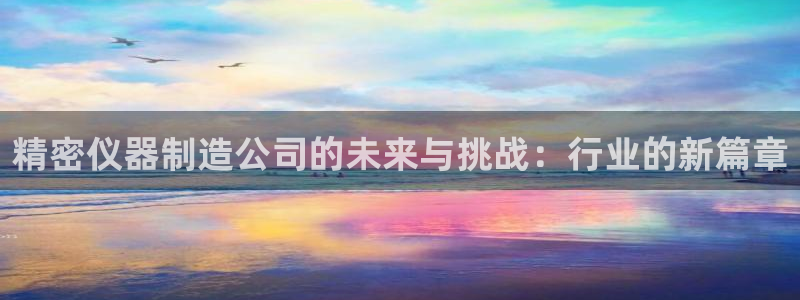 恒行2乃5O6917：精密仪器制造公司的未来与挑战：行业的新