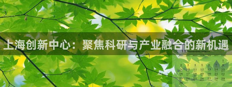恒行2吴74OOO5：上海创新中心：聚焦科研与产业融合的新机