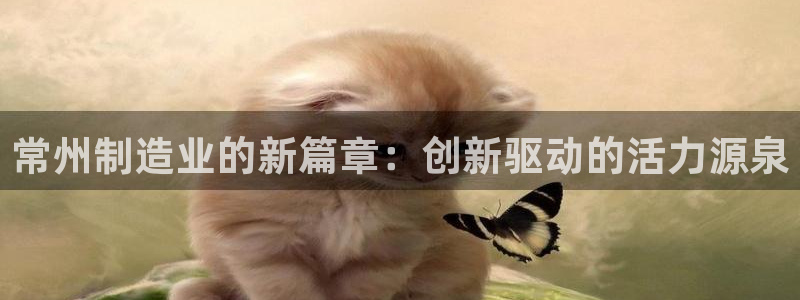 恒行开户全2O5o5O：常州制造业的新篇章：创新驱动的活力源