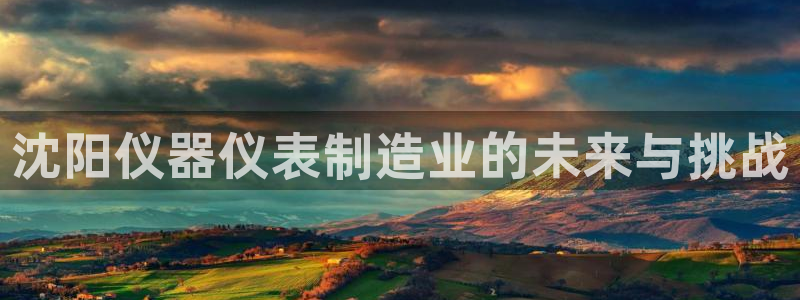 恒行娱乐冯74OOO5：沈阳仪器仪表制造业的未来与挑战