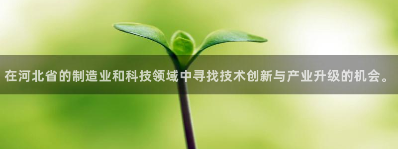 恒行娱乐热74ooo5主宰：在河北省的制造业和科技领域中寻找