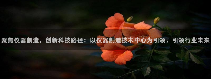 恒行娱乐寻问74 5：聚焦仪器制造，创新科技路径：以仪器制造