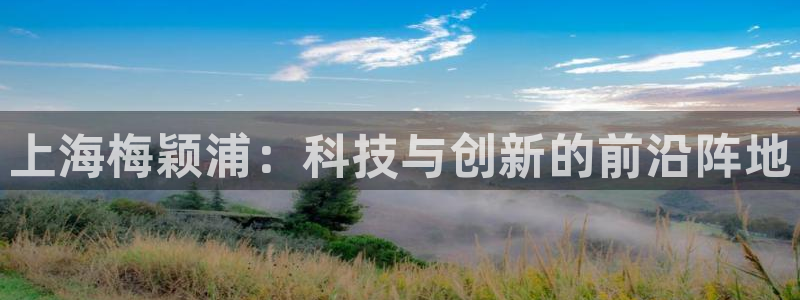 恒行娱乐芍皇74ooo5蛹：上海梅颖浦：科技与创新的前沿阵地
