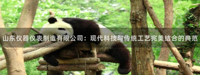 恒行娱乐见5ll533主管：山东仪器仪表制造有限公司：现代科