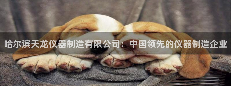 恒指5行情 如来再我心：哈尔滨天龙仪器制造有限公司：中国领先