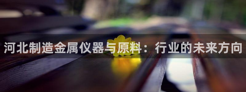 恒行娱乐陈74OOO5：河北制造金属仪器与原料：行业的未来方